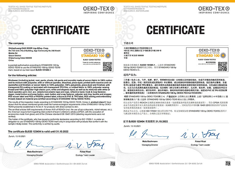 ISO 9001 standard for quality management of organizations with an auditor or manager in background